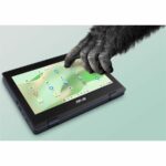 Asus Chromebook CZ11 Flip CZ1104FM2A-YZ42T 11.6" Touchscreen Rugged Convertible 2 in 1 Chromebook - HD - Octa-core (ARM Cortex A76 + Cortex A55) - 4 GB - 32 GB Flash Memory - Mineral Gray - Image 3